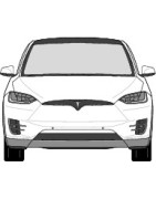 Model X